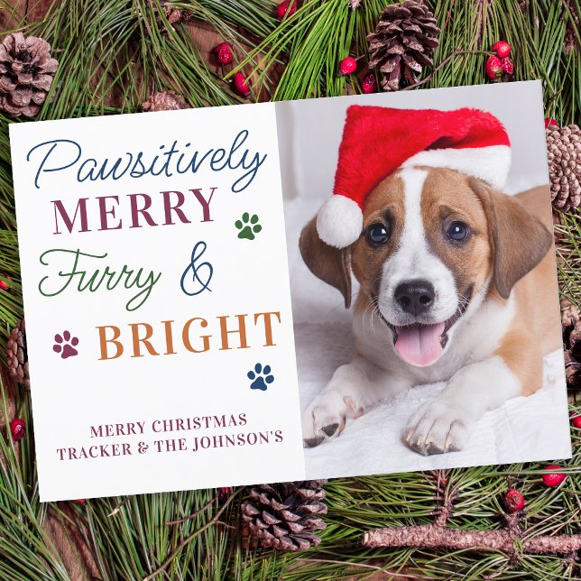 Furry & Bright Personalised Colourful Pet Dog Phot Holiday Card (Creator Uploaded)