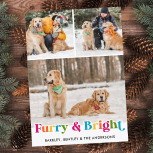 Furry & Bright Personalised Colourful Pet Dog Phot Holiday Card