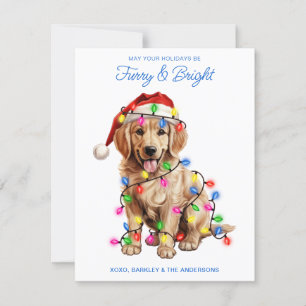 Furry & Bright Personalised Golden Retriever Dog Holiday Card