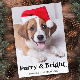 Furry & Bright Personalised Simple Pet Dog Photo Holiday Card