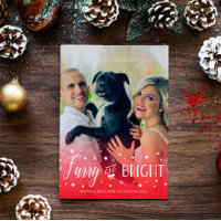 Furry & Bright - Pet Christmas Photo