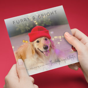 Furry & Bright   Photo Christmas Holiday Card