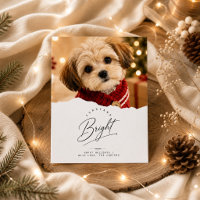 Furry & Bright Torn Edge Puppy Christmas Photo