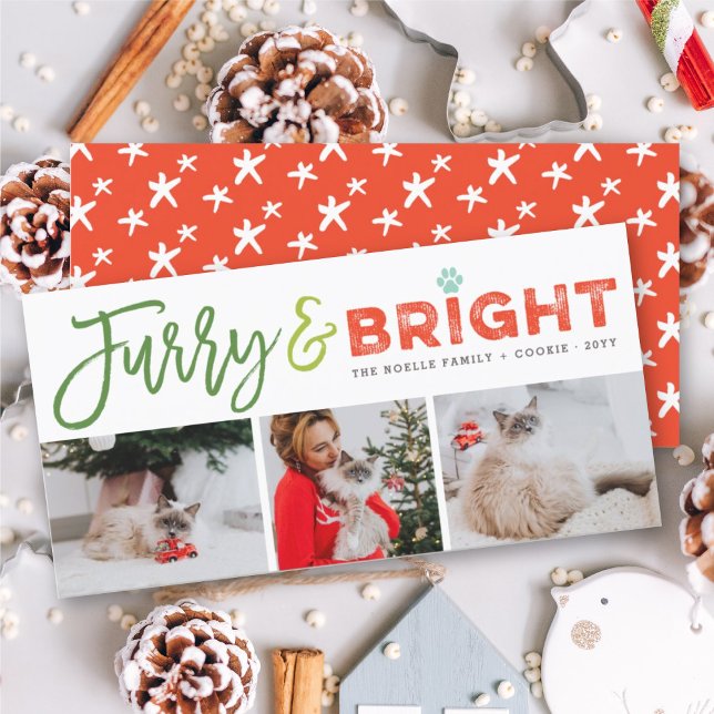 Furry & Bright Typography Cat Lover 3 Photo Pet Holiday Card (Creator Uploaded)