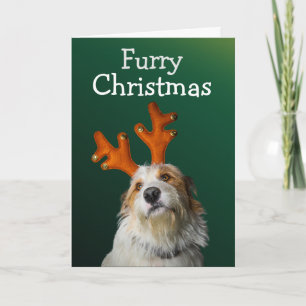 Furry Christmas from the dog card