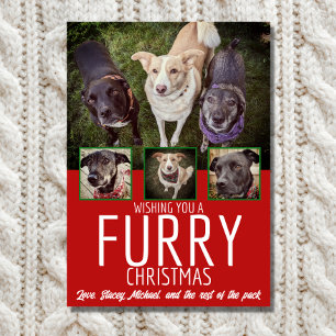 Furry Christmas Multi Photo Dog Collage Christmas Holiday Card