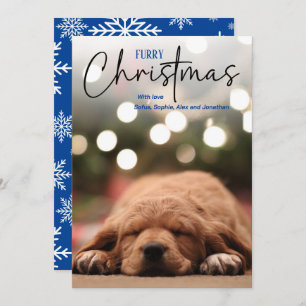 Furry Christmas pet photo blue Holiday Card