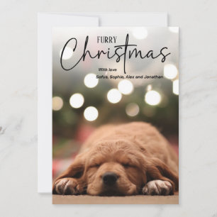 Furry Christmas pet photo in blue with overlay Holiday Card