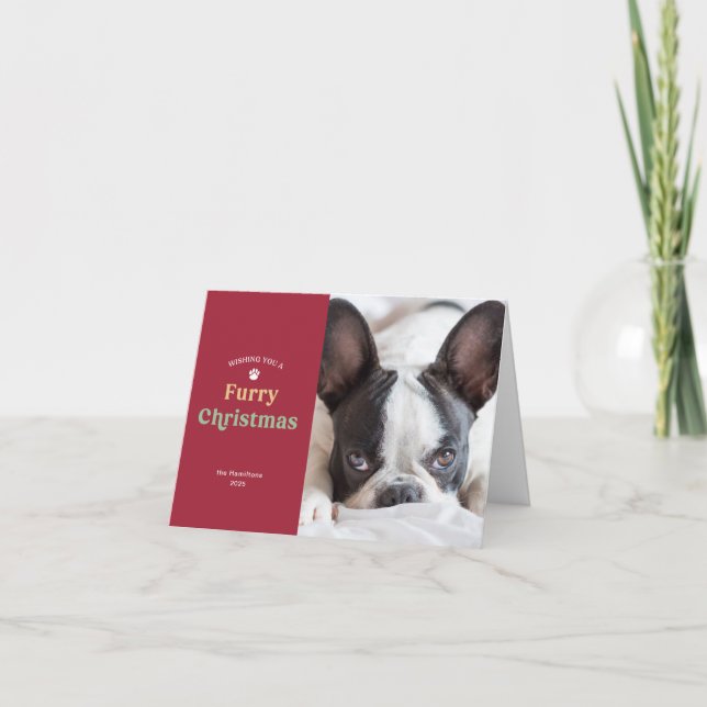 Furry Christmas Red Dog or Cat Holiday Photo Card (Front)