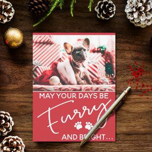 Furry Christmas red with photo and white paws Postcard