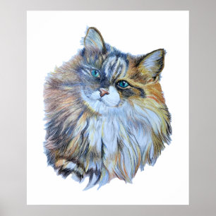 Furry Colourful Norwegian Forest Cat Realistic Art Poster