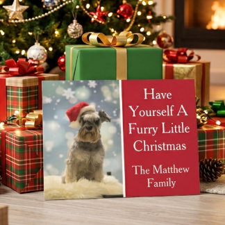 Furry Little Christmas Family Dog Photo Holiday Postcard