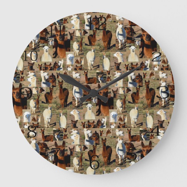 "Furry Moments: An Alpaca Photo Collage" Large Clock (Front)
