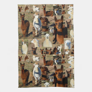 "Furry Moments: An Alpaca Photo Collage" Tea Towel