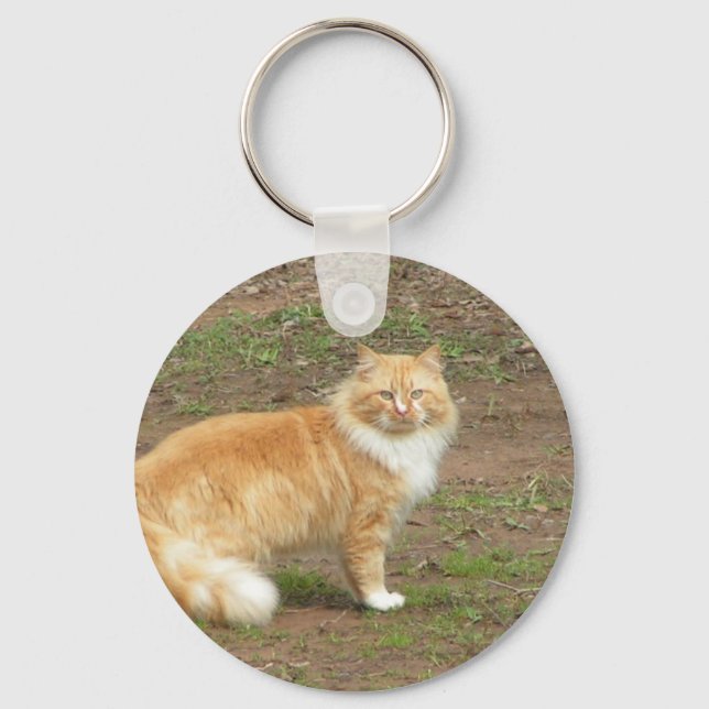 Furry Orange and White Cat Key Ring (Front)