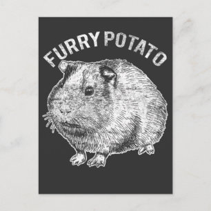 Furry Potato Cute Pet Guinea Pig Lover Postcard