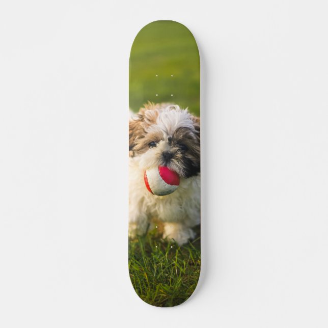 Furry Pup Skateboard with his ball (Front)