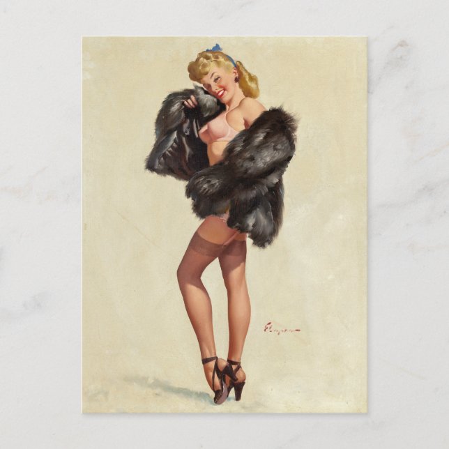 Furs Pin Up Postcard (Front)
