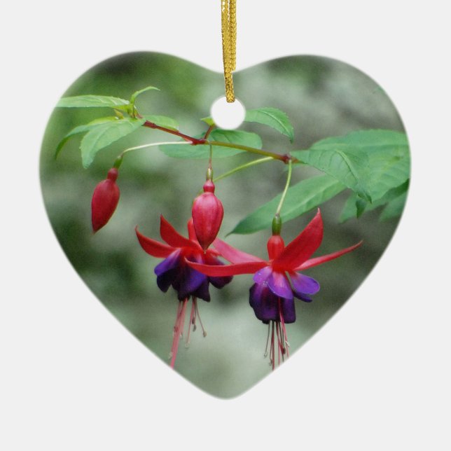 Fuschia1A.jpg Ceramic Tree Decoration (Front)
