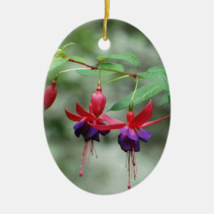 Fuschia1A.jpg Ceramic Tree Decoration