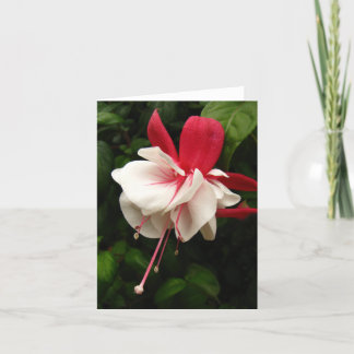 Fuschia Blossom Notecard