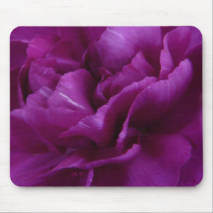 Fuschia Carnation mousepad