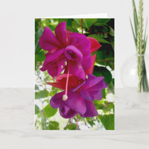 Fuschia Note Card