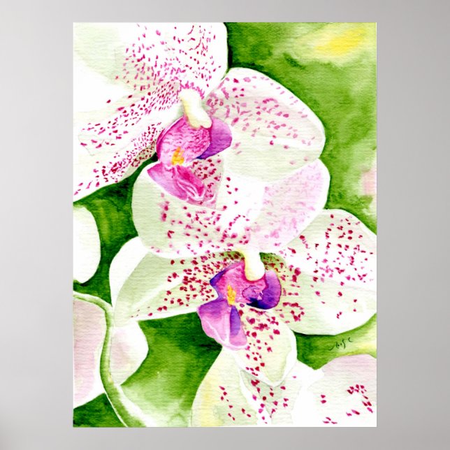 Fuschia Orchid Canvas Print (Front)