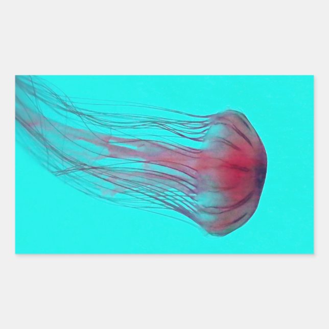 Fuschia Pink Jellyfish on Aqua Blue Green Rectangular Sticker (Front)