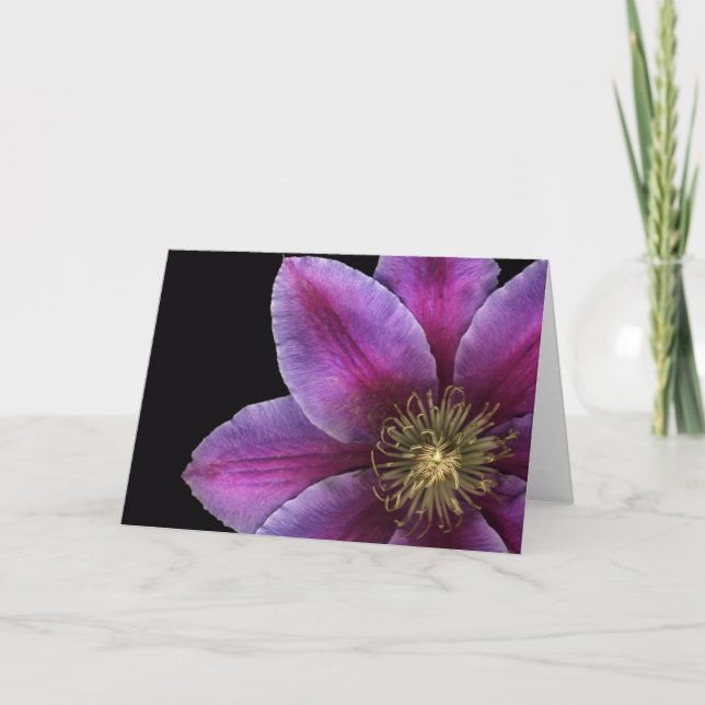 Fuscia Clematis Close-up Card (Front)