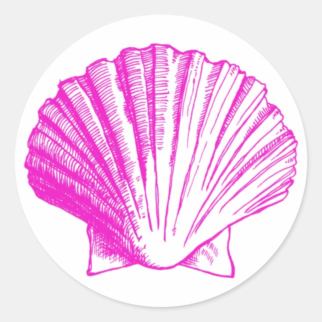 Fuscia Sea Shell Sticker (Front)