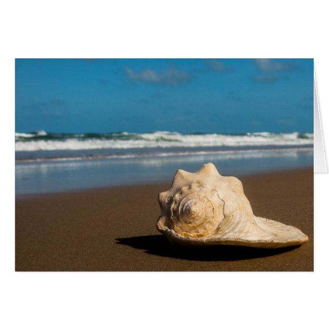 Future Beach (Front Horizontal)