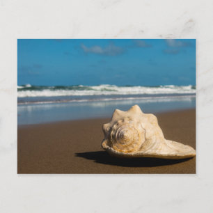 Future Beach Postcard