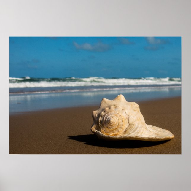 Future Beach Poster (Front)