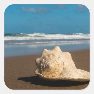 Future Beach Square Sticker