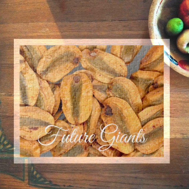 Future Giants, Giant Redwood Seeds Jigsaw Puzzle (Creator Uploaded)