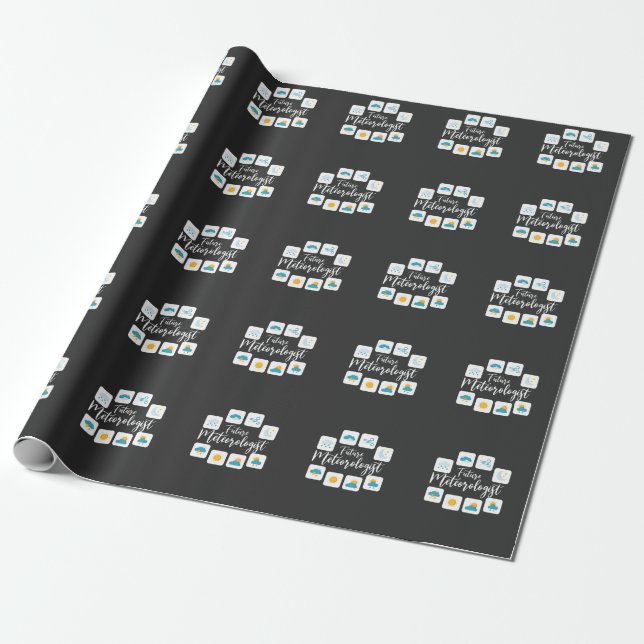Future Meteorologist Sun Rain Weatherman Fan Wrapping Paper (Unrolled)
