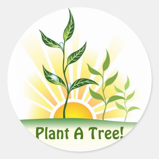 Future Trees Classic Round Sticker (Front)