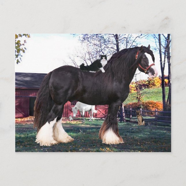 "Fuzzer Rides Again" Postcard (Front)