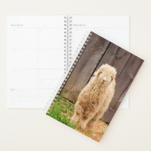Fuzzy Baby Goat Planner