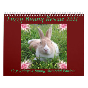 Fuzzy Bunny Rescue 2021 Calendar