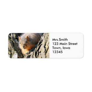 Fuzzy butt return address label