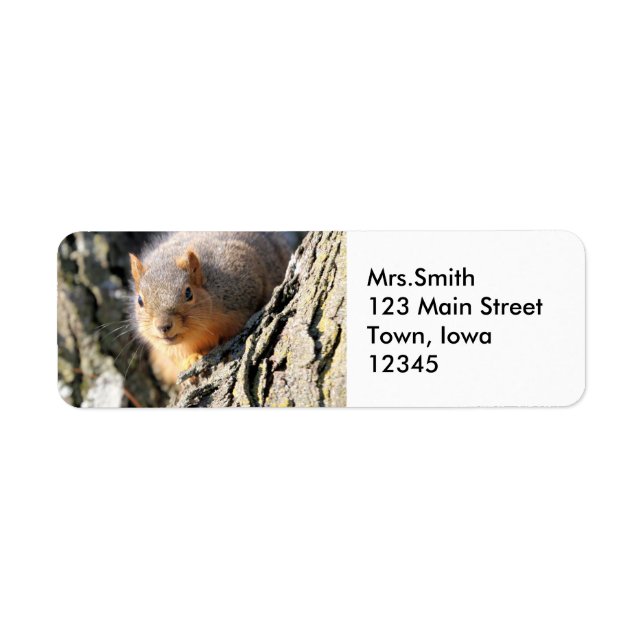 Fuzzy butt return address label (Front)