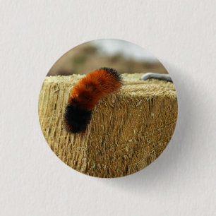 Fuzzy Caterpillar 3 Cm Round Badge