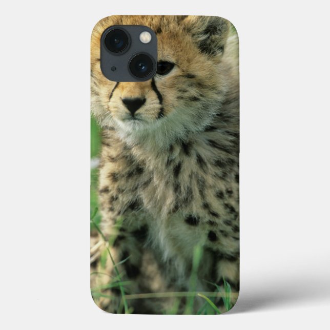 Fuzzy Cheetah Cub Case-Mate iPhone Case (Back)