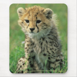 Fuzzy Cheetah Cub Mouse Pad
