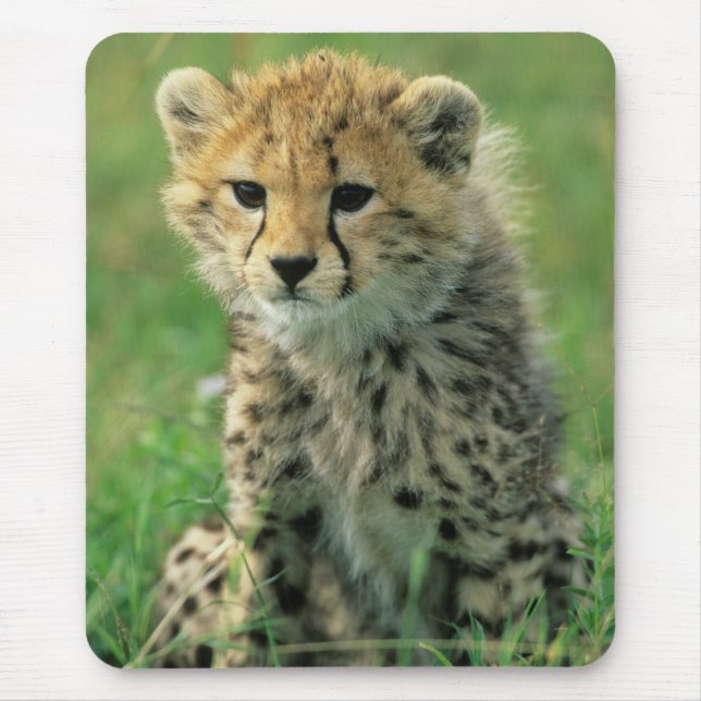 Fuzzy Cheetah Cub Mouse Pad (Front)