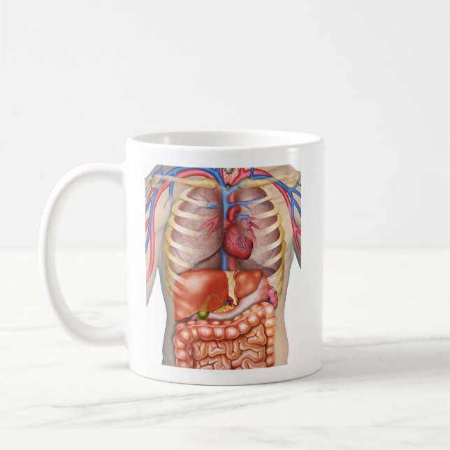 Fuzzy Express® Internal Organs Anatomy Coffee Mug (Left)