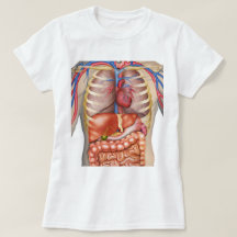 Fuzzy Express® Internal Organs Anatomy Woman