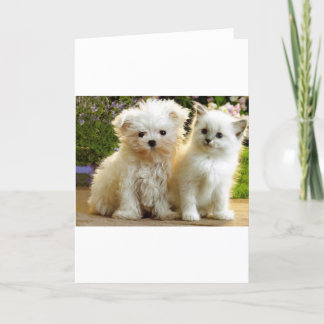 Fuzzy Friends Card